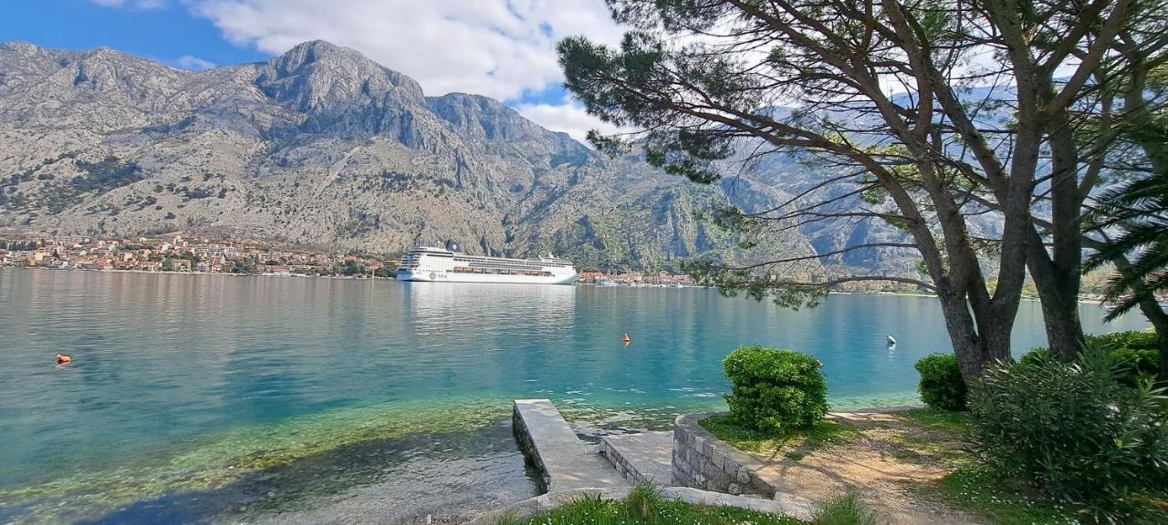 Apartment Vujosevic D&D Kotor Pokoj fotografie